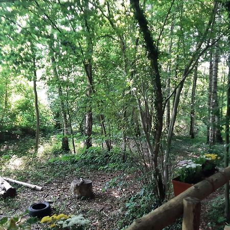 Baumhausnaechte Otel Ladbergen Dış mekan fotoğraf