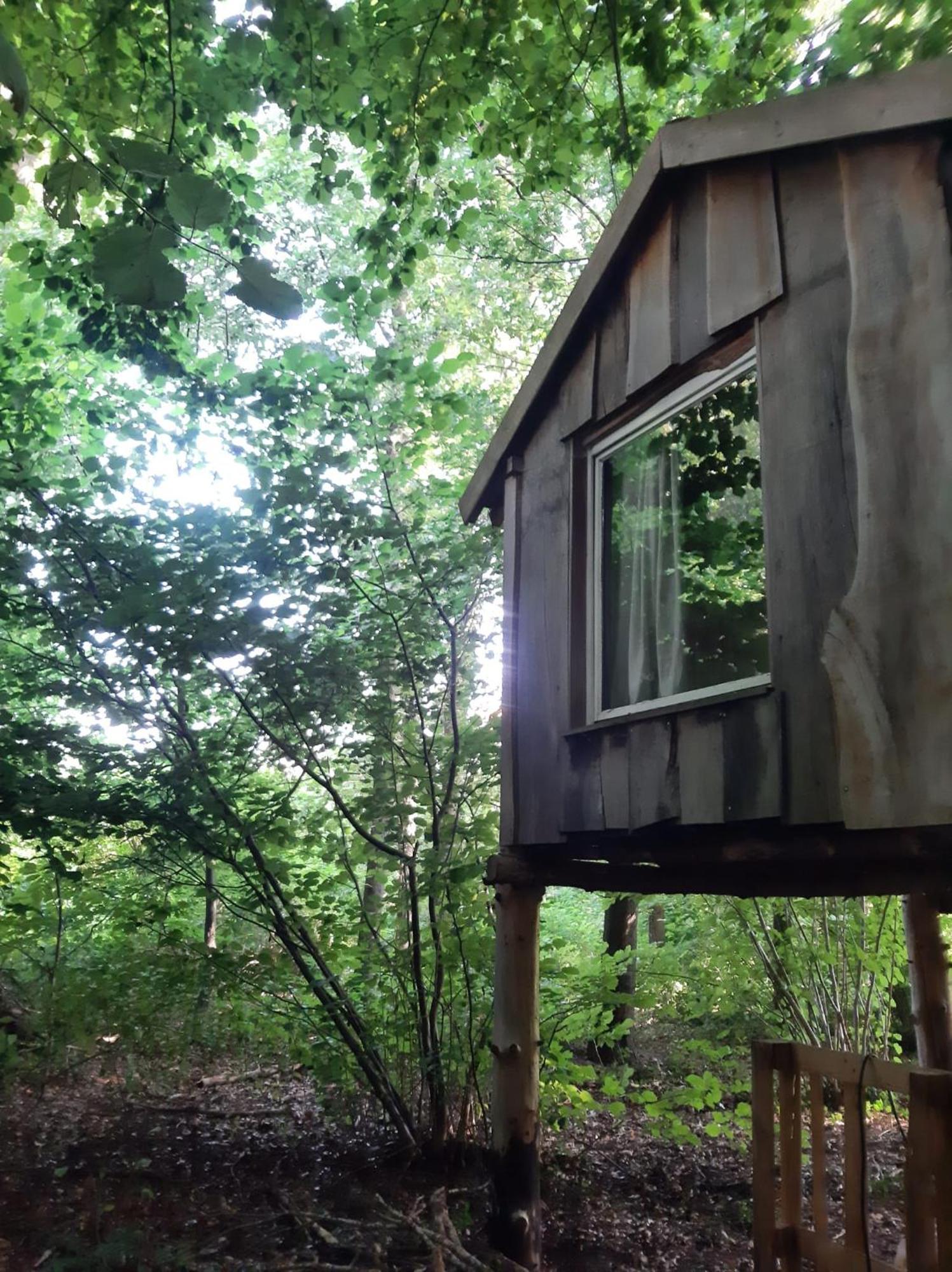 Baumhausnaechte Otel Ladbergen Dış mekan fotoğraf