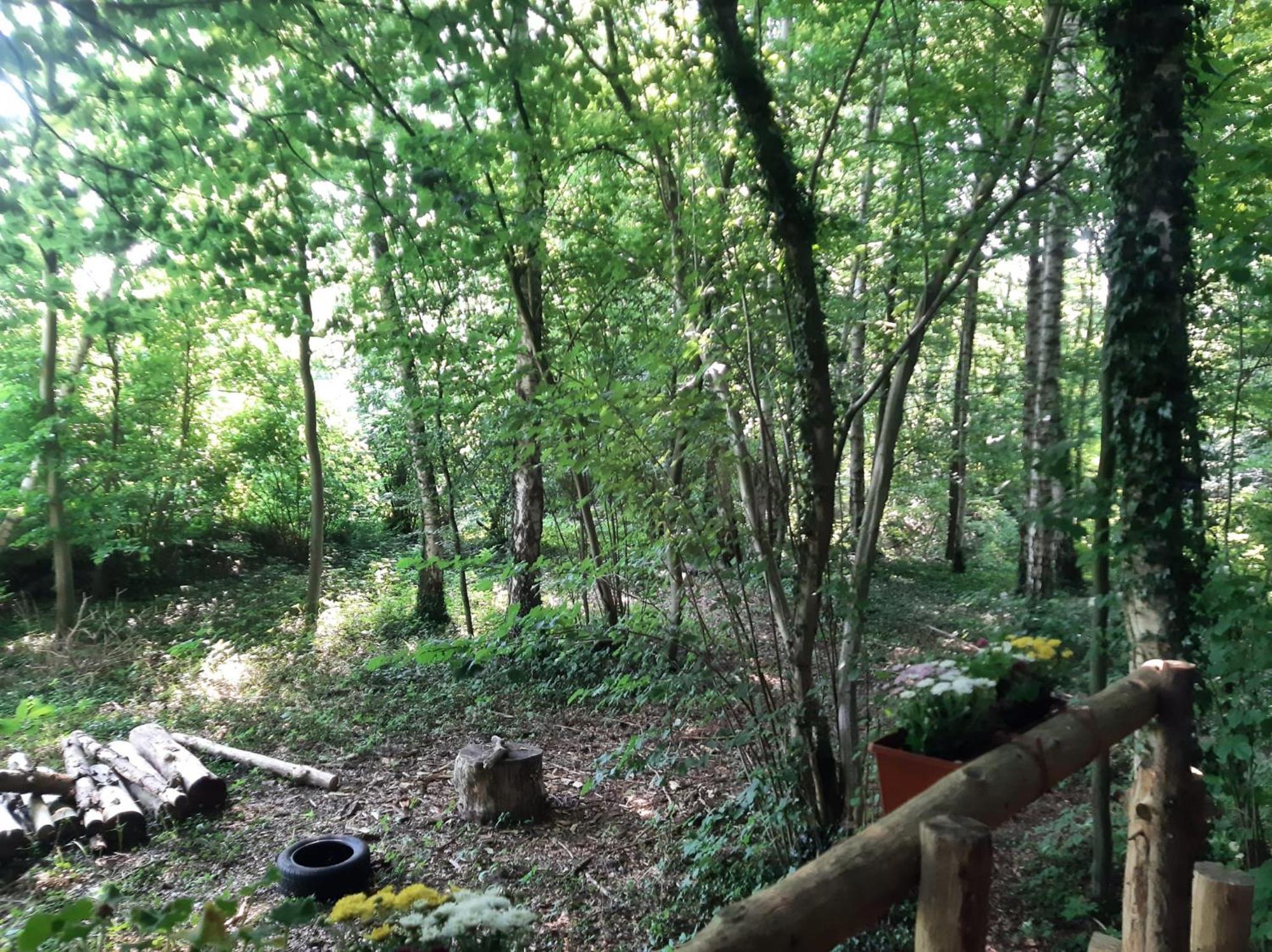 Baumhausnaechte Otel Ladbergen Dış mekan fotoğraf